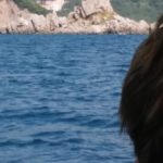 Montenegró - hajókirándulás a kotori öbölbe