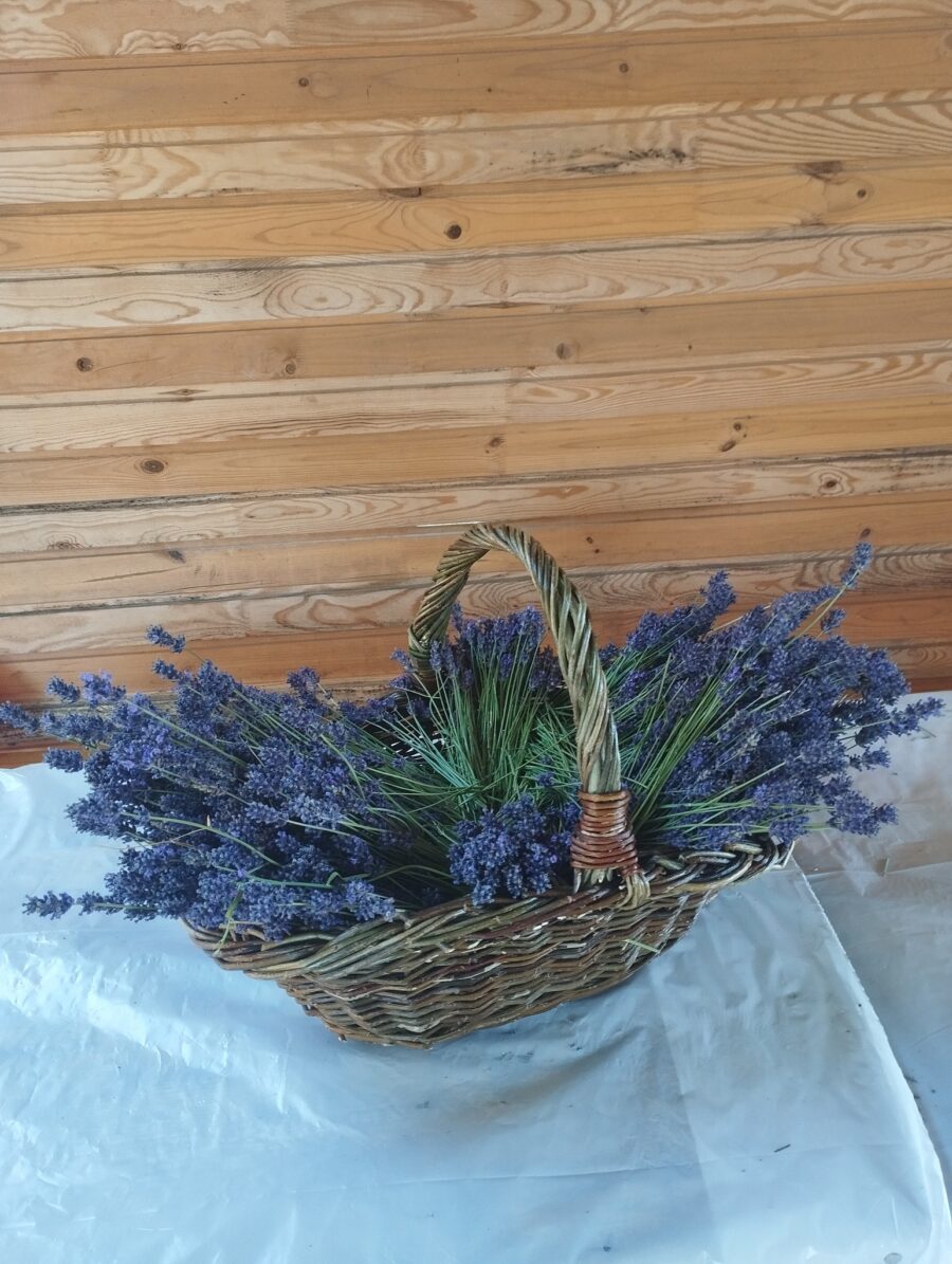 Délután a Tájházban