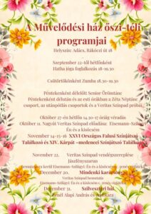 program